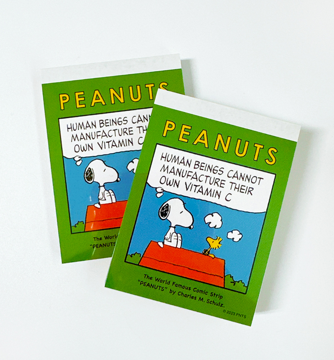 [JAPAN] Peanuts Snoopy Mini Memopad [On The Roof]