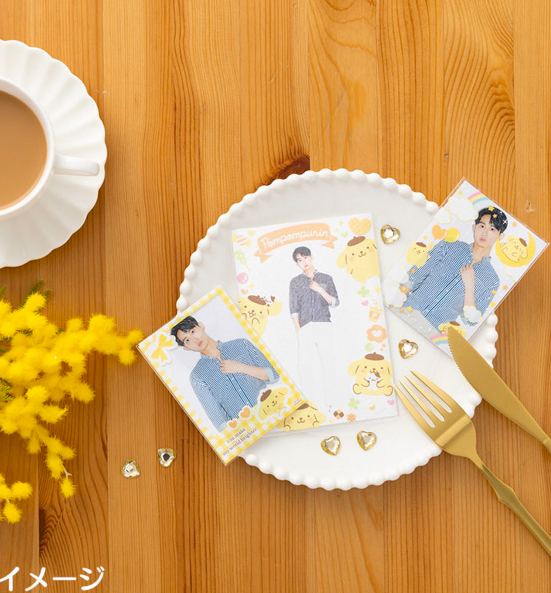 Sanrio Enjoy Idol Photocard Sleeve [9 Designs]